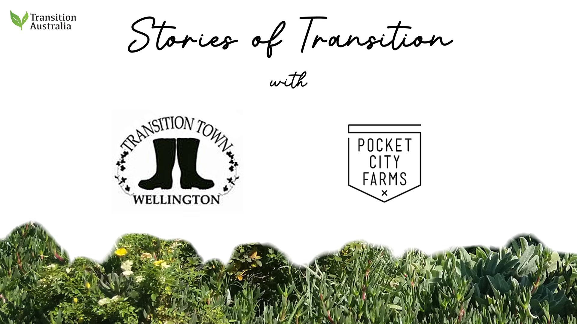 Stories of Transition 8 April 2024