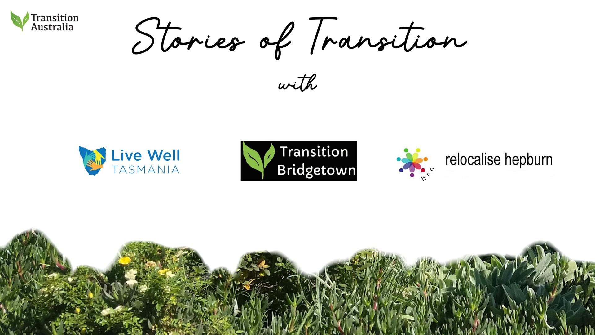Stories of Transition Feb 2023
